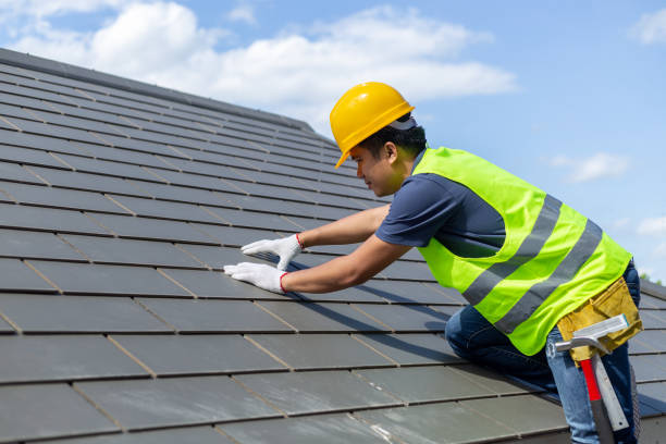 Best Gutter Installation and Roofing  in Round Lake, IL