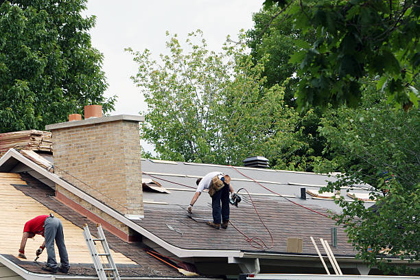 Best Flat Roof Repair Services  in Round Lake, IL