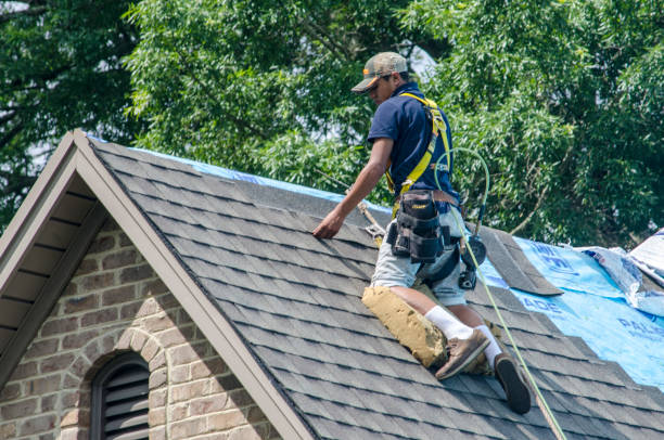 Best Roof Restoration Services  in Round Lake, IL