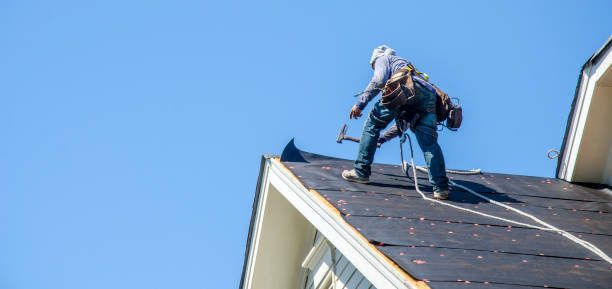 Best Roof Leak Repair  in Round Lake, IL